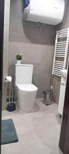 a bathroom with a toilet with a plant on it at Katy's studio in Bansko