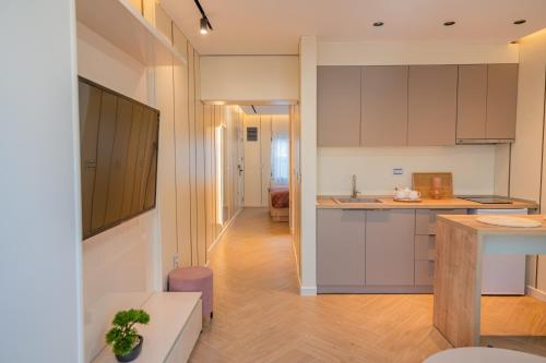 Kuchyň nebo kuchyňský kout v ubytování Guesthouse Sidro