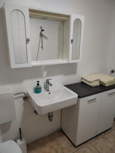 a bathroom with a sink and a mirror at Apartment Jalen in Bohinjska Bela