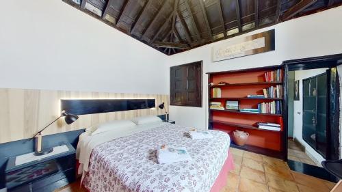Un dormitorio con una cama y una estantería. en Finca Paraiso Casa Rural Tenerife, en La Laguna