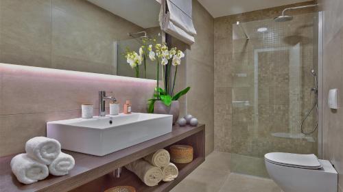 a bathroom with a sink and a toilet and a shower at Luxury Villa Vigneto heated pool jacuzzi in Brtonigla