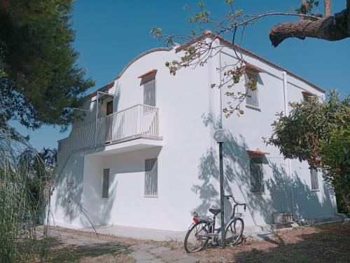 Jízda na kole v ubytování Appartamenti Luce di Puglia nebo okolí