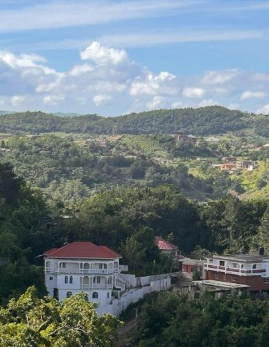a white house on top of a hill with trees at Luxury Struan Castle Hill condo in Kupuis