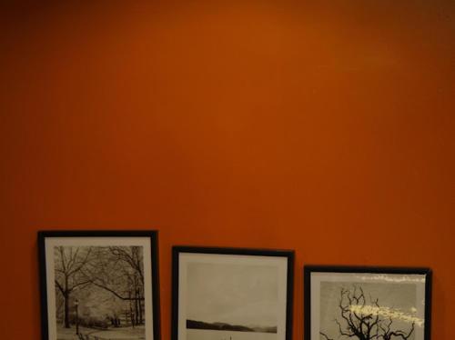 two framed pictures of trees on an orange wall at Hotel Vegas in Mama