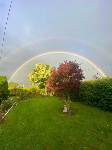 a rainbow over a green field with a tree at Tranquil Haven Home in Milltown