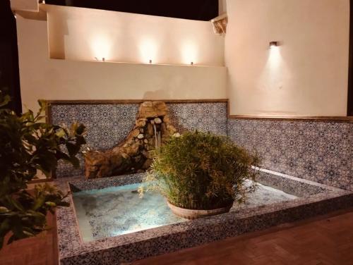 a bathtub with a potted plant on a counter at Hotel Foresteria Baglio Della Luna in San Leone