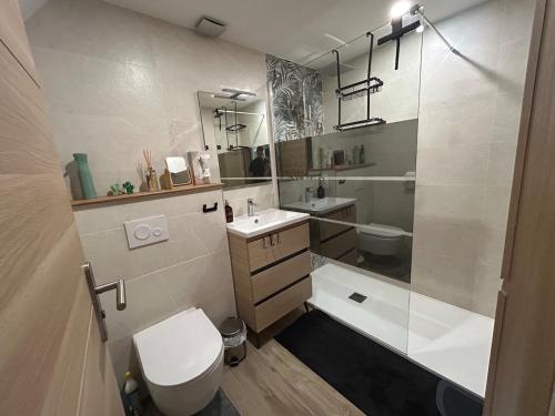un bagno con un water, un lavandino e uno specchio di Villa cosy à 200 m de la mer a Cap d'Agde