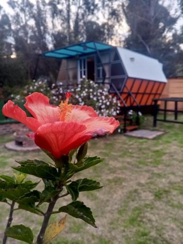 Zahrada ubytování Glamping Mafer 1 Hexagonal