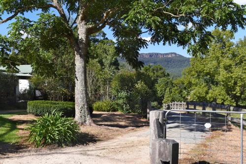 a tree and a fence with a mountain in the background at The Laurels B&B in Kangaroo Valley