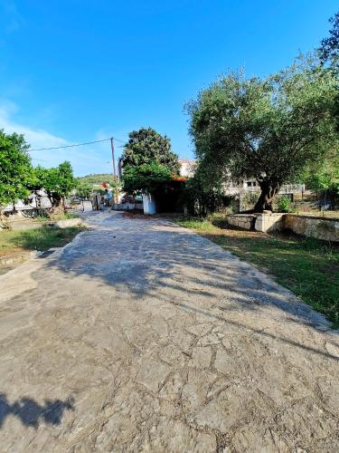 an empty road with a tree in the middle at Elysian Light Apartment & Rooms in Sivota