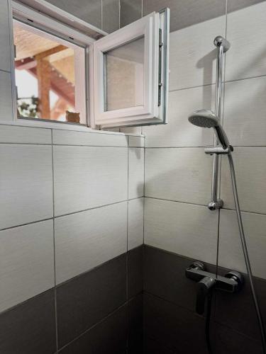 Bany a Apartment Dil