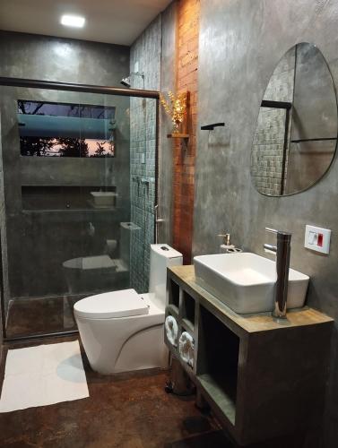 a bathroom with a toilet and a sink and a mirror at Villa Mantiqueira - Studio II - Com lareira e área verde in Campos do Jordão
