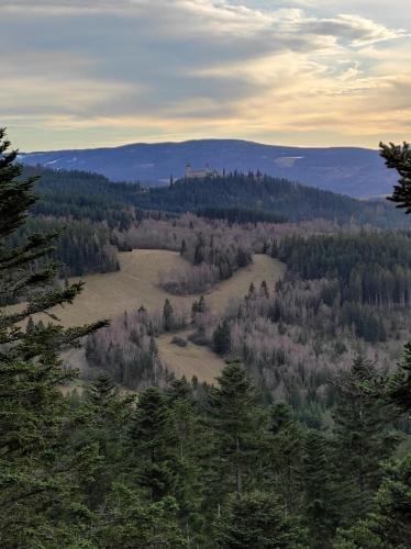 a view of a forest with a field and trees at Zemědělská Usedlost Albrechtice in Sušice