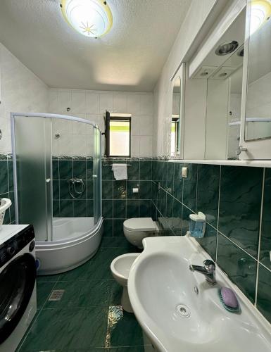 Un baño con lavabo, inodoro y ducha. en Ninas Apartment, en Marovići