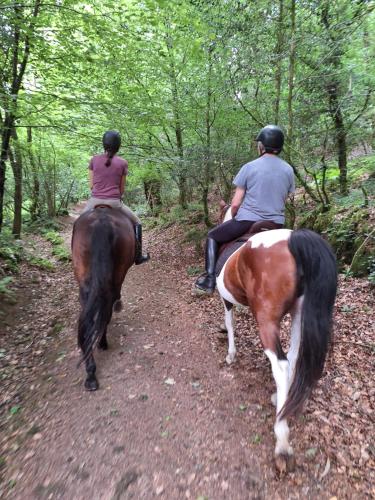 two people riding horses on a trail in the woods at Domaine de Bobehec - Gîte de groupe, chambres & Salle - jusqu'à 23 couchages - Morbihan proche Vannes et plages in La Vraie-Croix