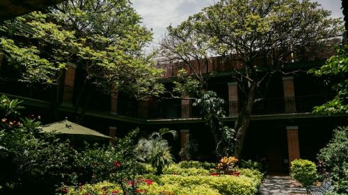 Κήπος έξω από το Hotel Siglo 17
