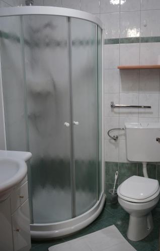 a bathroom with a shower with a toilet and a sink at Miškar Rooms in Cerknica
