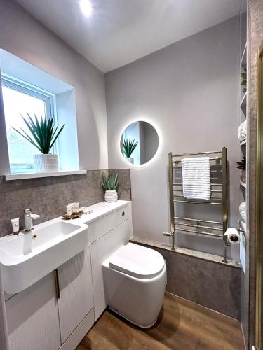 a bathroom with a toilet and a sink and a mirror at Luxury Penarth Loft - Near Cardiff in Penarth
