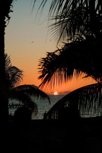 a sunset on the beach with a palm tree at Casa Las Tortugas Petit Beach Hotel & Spa in Holbox Island