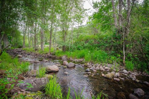 a stream of water with rocks in a forest at Farm House / duplex on Mosier Creek in Mosier
