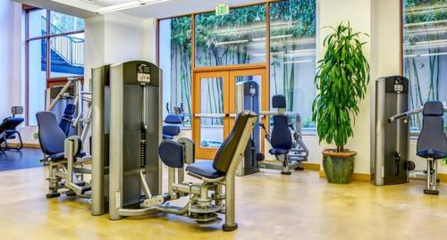 a gym with tread machines and a potted plant at Designer 2 Bedroom with 3 Beds- Pool View, Gym, Parking in Los Angeles
