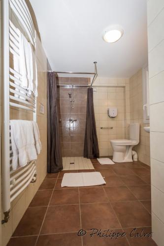 une salle de bain avec douche et toilettes dans l'établissement Hotel Kapa Gorry, à Saint-Jean-de-Luz