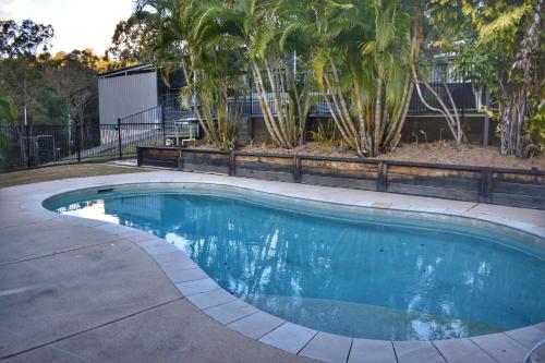 a swimming pool in a yard with palm trees at Huge Hidden Hinterland Estate in Canungra