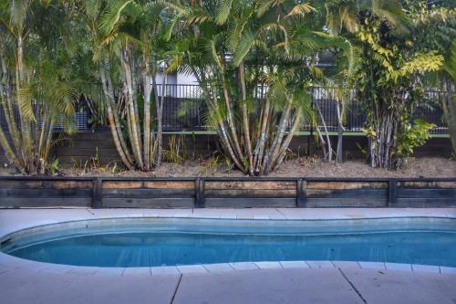 a swimming pool in front of some palm trees at Huge Hidden Hinterland Estate in Canungra