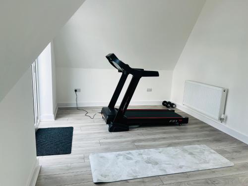 Fitness centrum a/nebo fitness zařízení v ubytování Luxurious New Home Near Airport