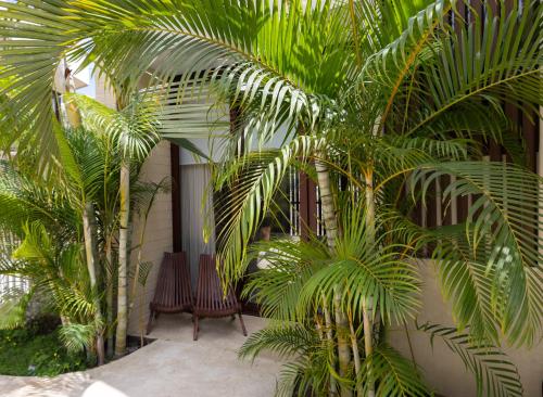 a house with two palm trees and a bench at La Bohème Sayulita in Sayulita