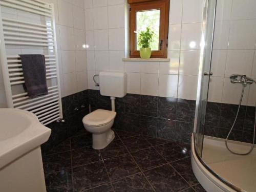 a bathroom with a toilet and a shower and a sink at Villa in minj with swimming pool in Žminj
