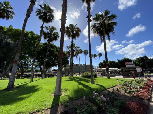 Apartment in Las Palmas near Playa de Las Canteras