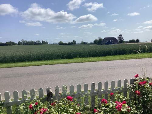 a road next to a fence with flowers and a barn at 6 person holiday home in Horslunde in Horslunde