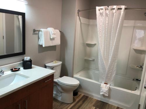 a bathroom with a toilet and a sink and a shower at Aspen Suites Hotel Homer in Homer