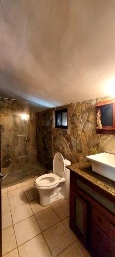 a bathroom with a toilet and a shower and a sink at Private House in Playa Coronado in Nueva Gorgona