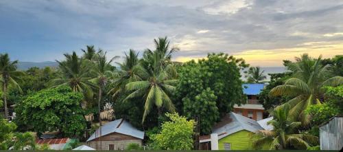 a group of palm trees and a yellow house at Villa Janel in Punta Rucia