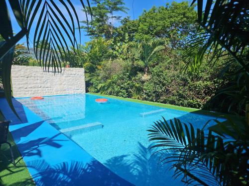 Ballena Rey Hotel