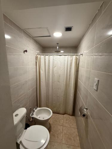 a bathroom with a toilet and a sink and a shower at Departamento Kuyen in Malargüe