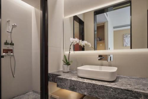 a bathroom with a sink and a mirror at Yinxitang Aesthetic Life Courtyard Hotel Kuanzhai Alley People's Park Subway Station Branch in Chengdu