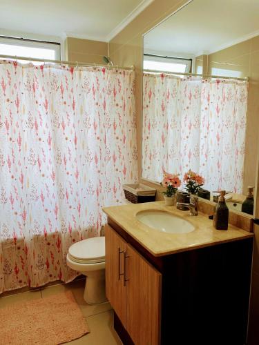 a bathroom with a sink and a toilet and a mirror at Departamento 2 habitaciones in Temuco