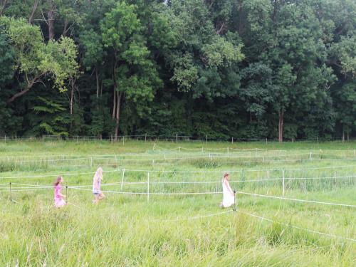 Gallery image of Ferienhaus nahe Ostsee und Wald, cleaning included in Neubukow