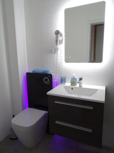 a bathroom with a sink and a toilet and a mirror at Fewo-Seetank in Friedrichskoog