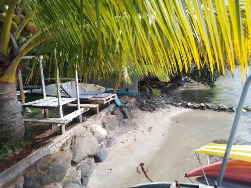 Les poissons du lagon YH, hébergement à Raiatea