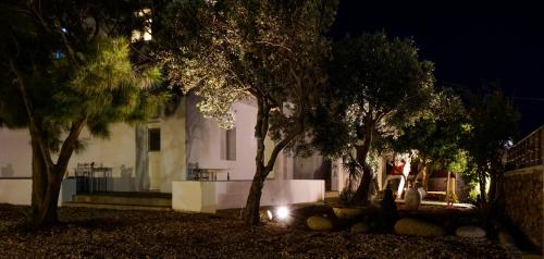 a house at night with trees in front of it at Casa Nostra Mykonos Boutique Rooms & Studios in Glastros