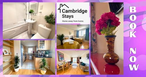 a collage of pictures of a room with a vase of flowers at CB Stays - 2 Bedroom & 2 Toilet Flat - Near Mills Road and Train Station with Parking in Cambridge