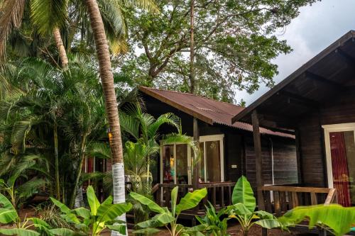 a house in the jungle with palm trees at The Exotica Agonda in Agonda