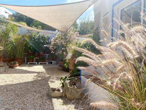 a garden with plants on the side of a building at Casa Da Aldeia in Santa Bárbara de Nexe