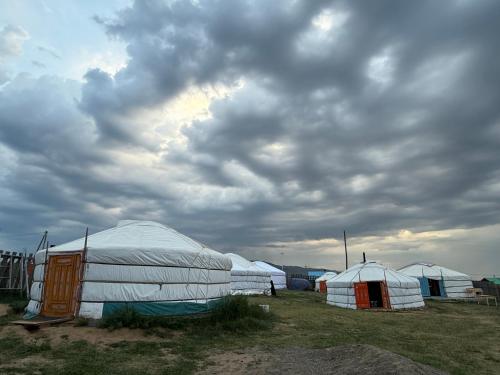 a group of tents in a field under a cloudy sky at Deep Mongolia in Harhorin