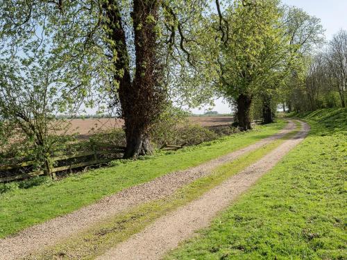 a dirt road in a field with trees at Islington Hall in Tilney All Saints