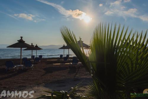 Gallery image of Ammos Apartments in Kavos